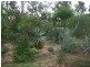 Wondai QLD 4606