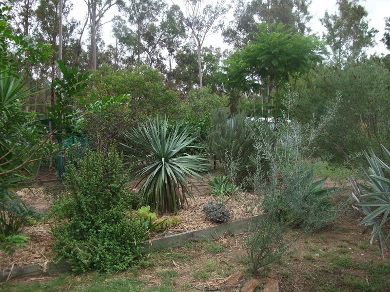 Wondai QLD 4606