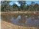 156 Mcclymont Road, Wattle Camp QLD 4615