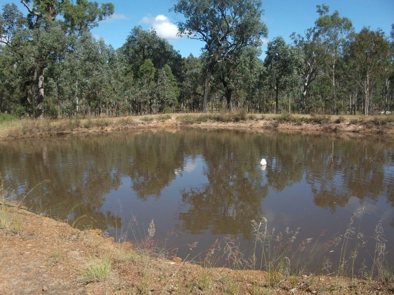 156 Mcclymont Road, Wattle Camp QLD 4615