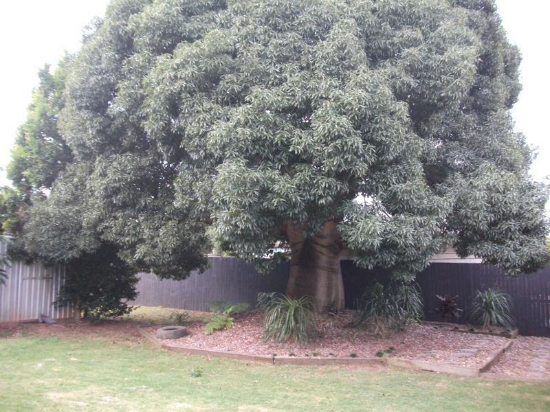 Kingaroy QLD 4610