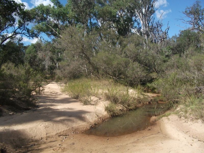 Lot 8 Lawsons Broad Road, Coverty QLD 4613