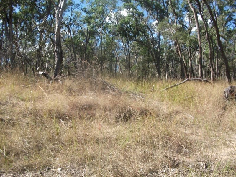 Lot 8 Lawsons Broad Road, Coverty QLD 4613