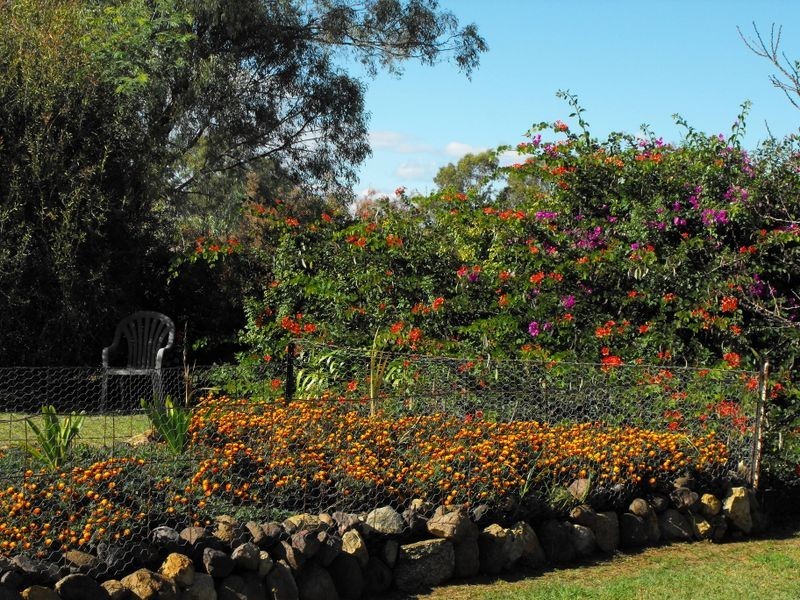 1311 Memerambi Gordonbrook Road, Kingaroy QLD 4610