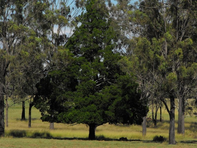 1311 Memerambi Gordonbrook Road, Kingaroy QLD 4610