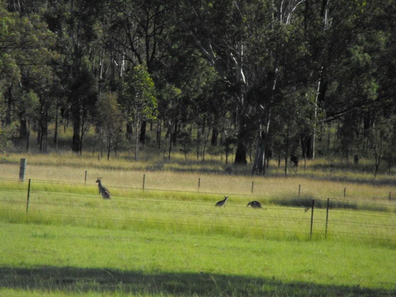 1311 Memerambi Gordonbrook Road, Kingaroy QLD 4610