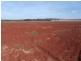 Cushnie QLD 4608