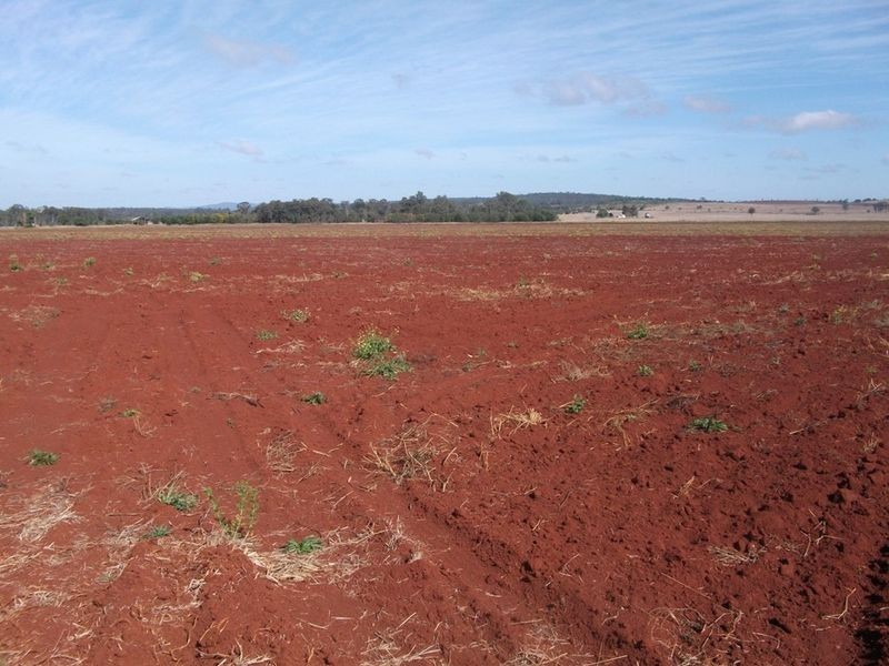 Cushnie QLD 4608