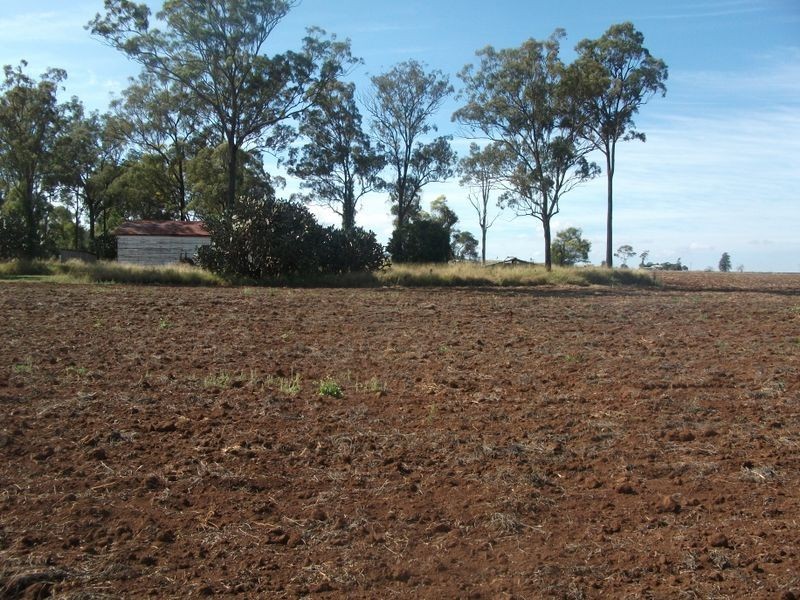 Cushnie QLD 4608