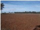 Cushnie QLD 4608
