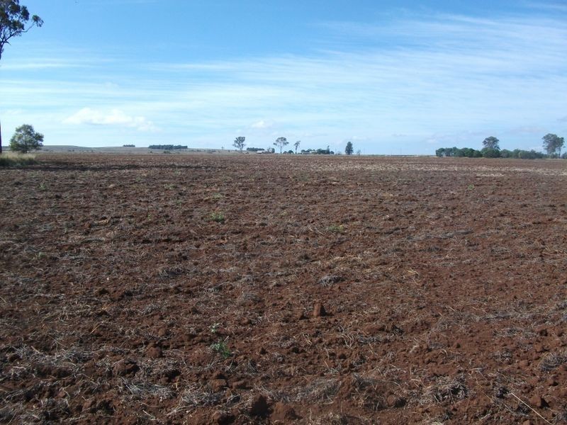 Cushnie QLD 4608