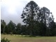 Bunya Mountains QLD 4405