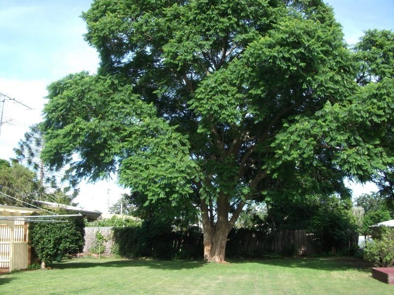 Kingaroy QLD 4610