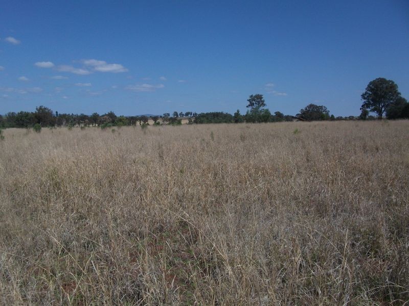 Lot 3 @ 12 Johnstons Road, Kingaroy QLD 4610