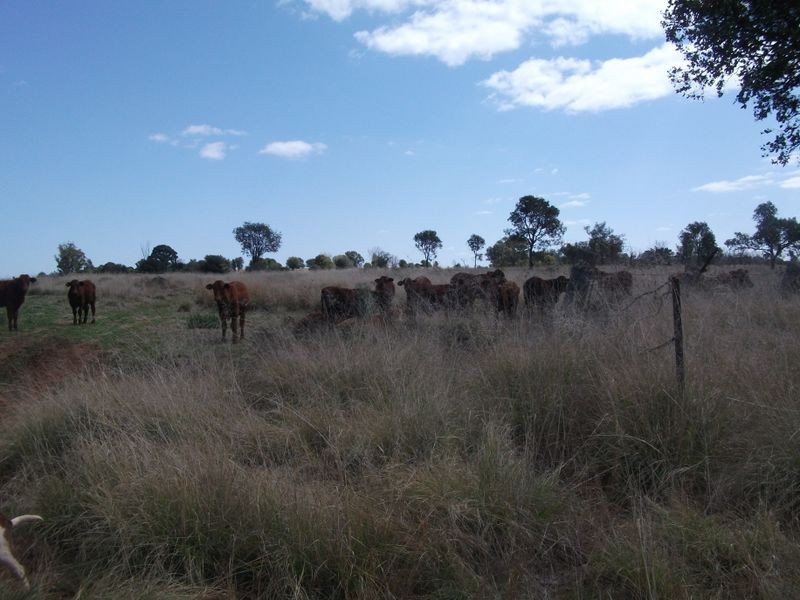 Lot 12 @ 1 Johnstons Road, Kingaroy QLD 4610