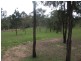 24 McConnells Road, Maidenwell QLD 4615