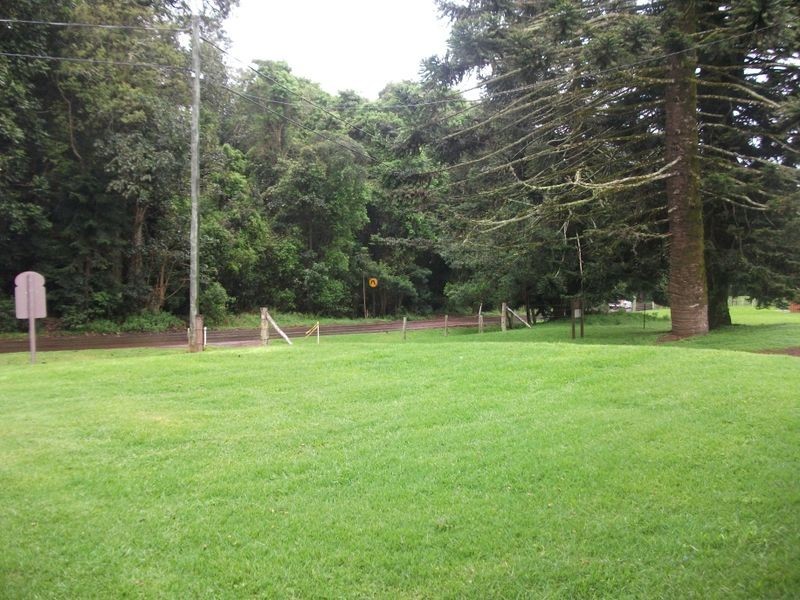 Bunya Mountains QLD 4405