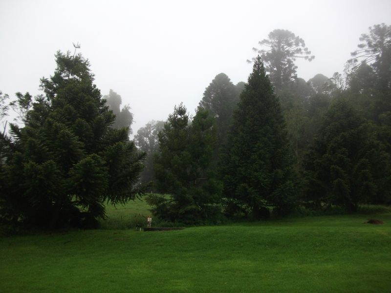 5 Bunya Mountains, Bunya Mountains QLD 4405