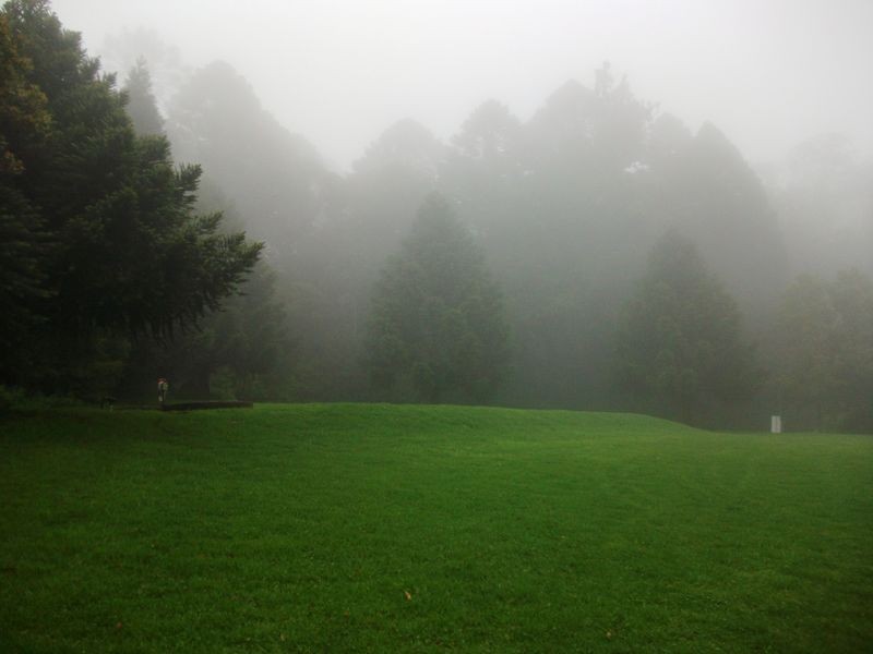 6 Bunya Mountains, Bunya Mountains QLD 4405