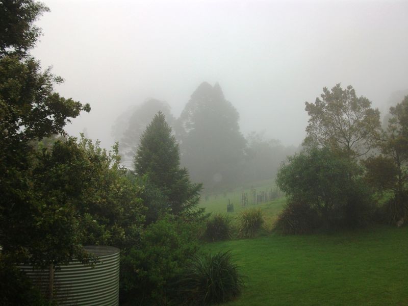 6 Bunya Mountains, Bunya Mountains QLD 4405