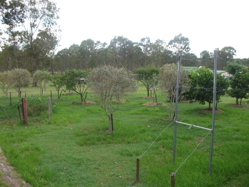 Wattle Camp QLD 4615