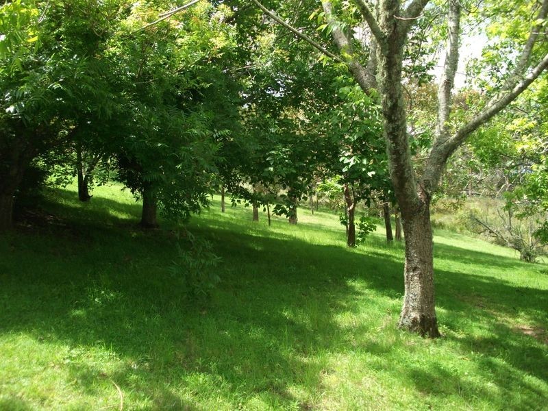 75 Rainforest Drive, Bunya Mountains QLD 4405