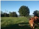Kingaroy QLD 4610