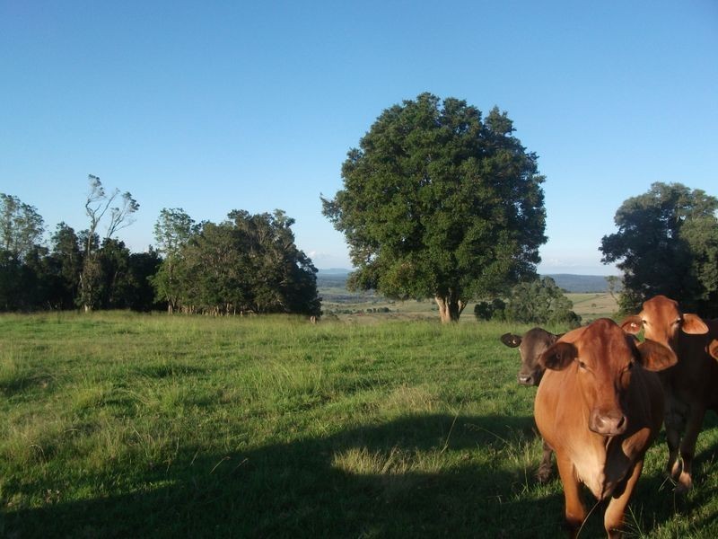 Kingaroy QLD 4610