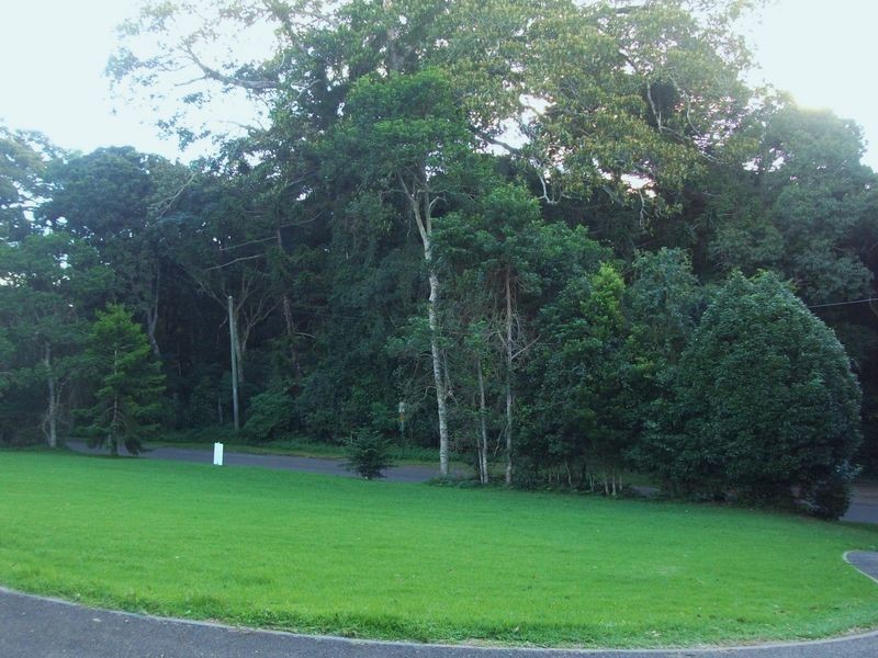Lot 1 & 2 Bunya Mountains Road, Bunya Mountains QLD 4405