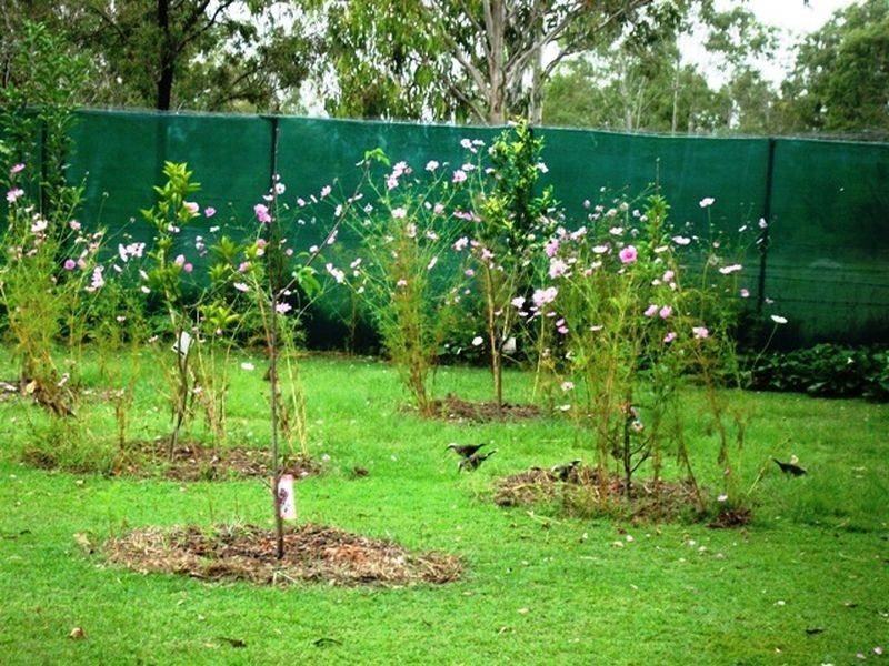 15 Pool Street, Maidenwell QLD 4615