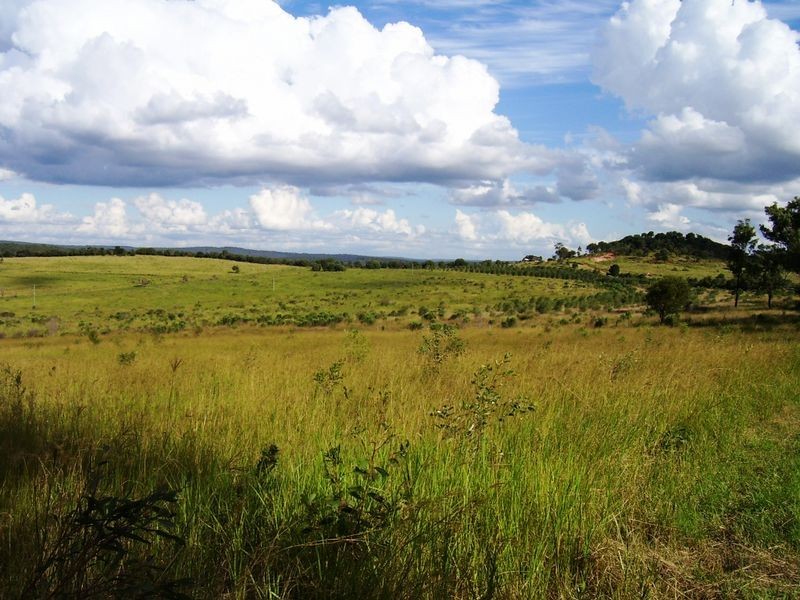 31 Back Road, Kinleymore QLD 4613