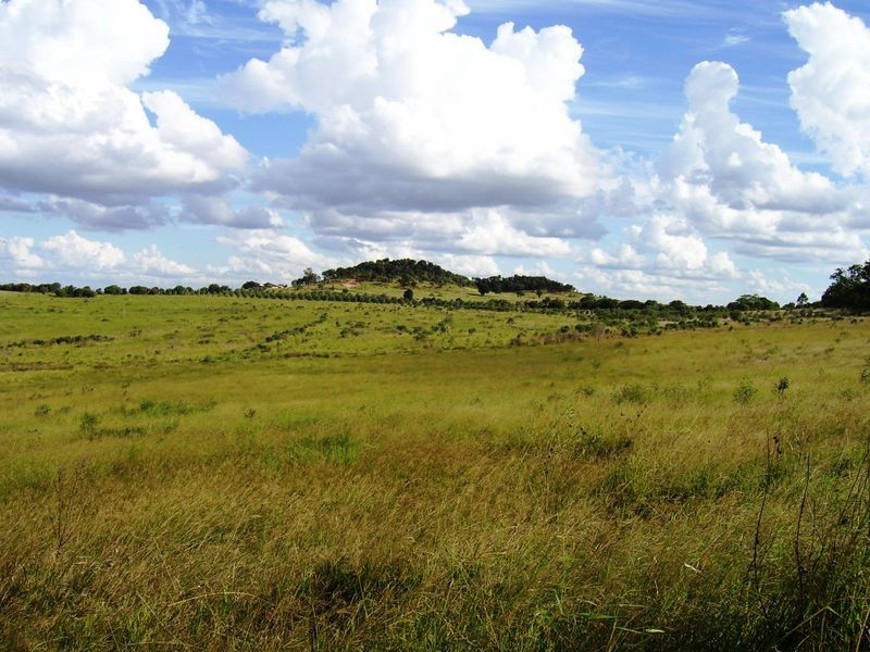 31 Back Road, Kinleymore QLD 4613