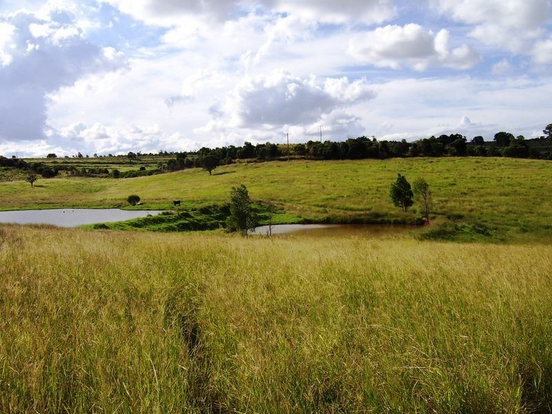 31 Back Road, Kinleymore QLD 4613