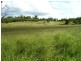 31 Back Road, Kinleymore QLD 4613