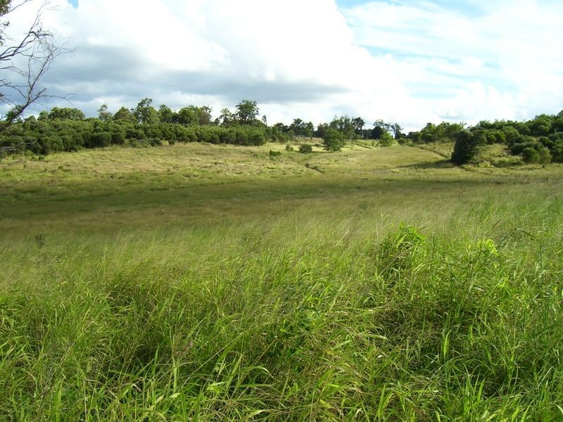 31 Back Road, Kinleymore QLD 4613