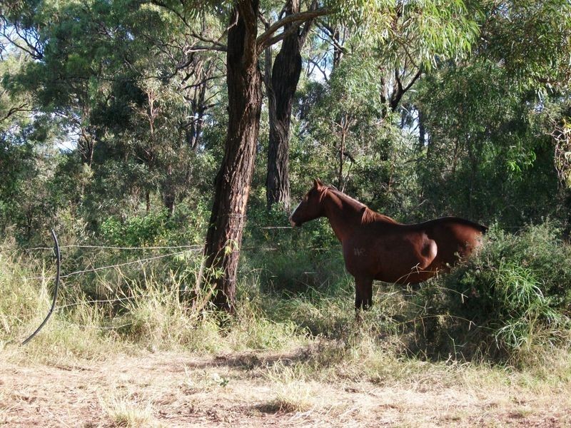 31 Back Road, Kinleymore QLD 4613