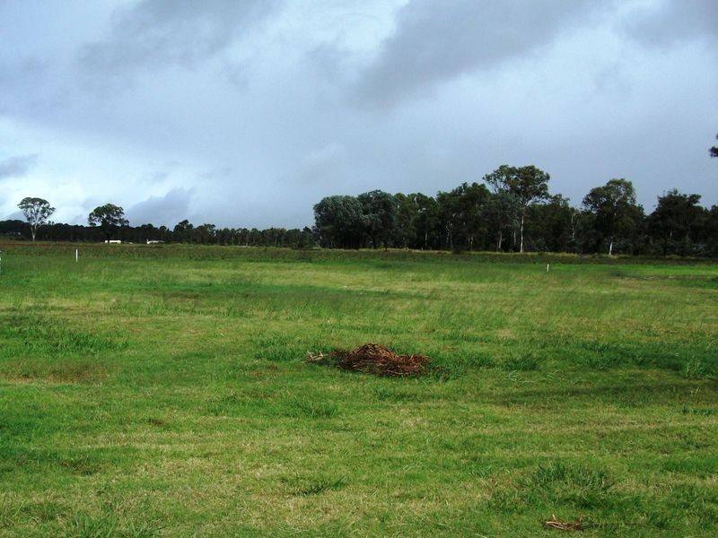 Lot 100 Bunya Highway, Memerambi QLD 4610