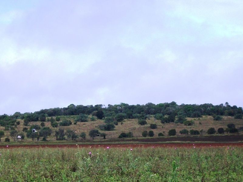Lot 100 Bunya Highway, Memerambi QLD 4610