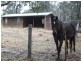 80 Cairns Road, Kingaroy QLD 4610