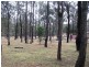80 Cairns Road, Kingaroy QLD 4610