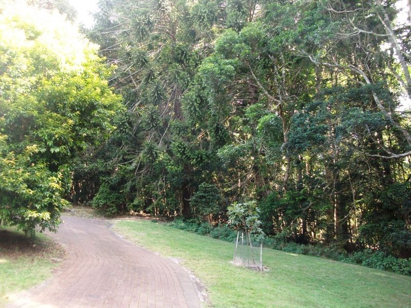 17 Rainforest Road, Bunya Mountains QLD 4405