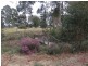 79 Belair Drive, Kingaroy QLD 4610