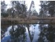 Lot 89 Memerambi Barkers Creek Road, Wattle Camp QLD 4615