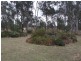 Lot 89 Memerambi Barkers Creek Road, Wattle Camp QLD 4615
