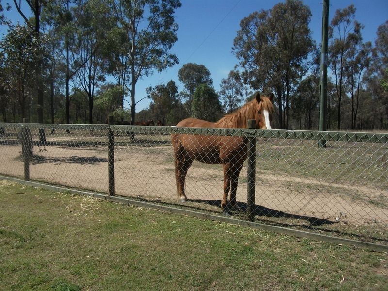 257 Evans Road, Ballogie QLD 4610