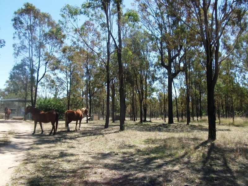 257 Evans Road, Ballogie QLD 4610