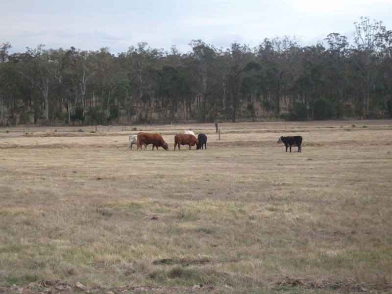 1306 Kingaroy Barkers Creek Road, Booie QLD 4610