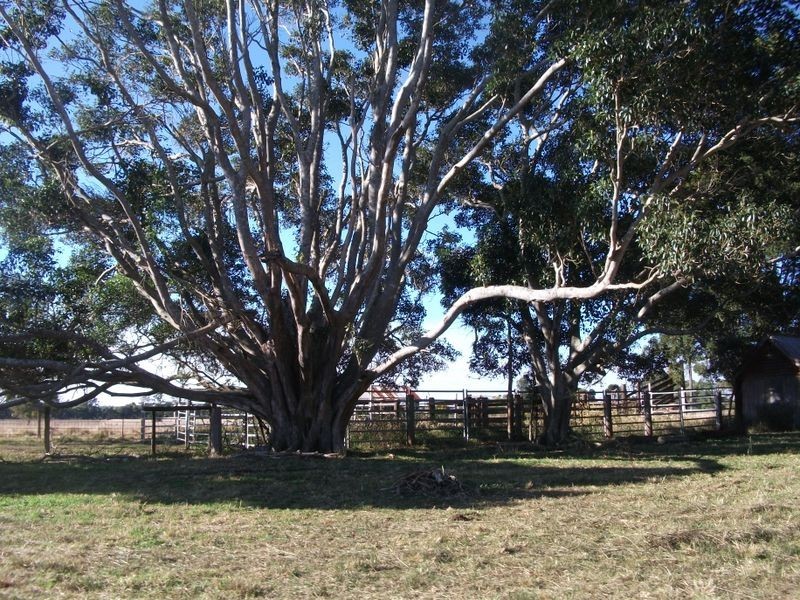 664 Deep Creek Road, Inverlaw QLD 4610