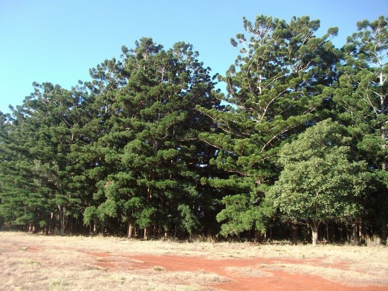 664 Deep Creek Road, Inverlaw QLD 4610