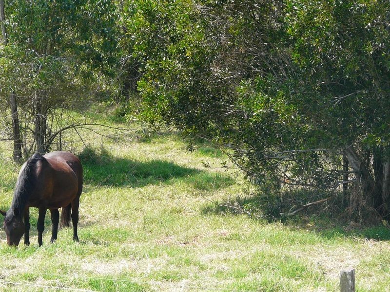 98 Birt Road, Kingaroy QLD 4610